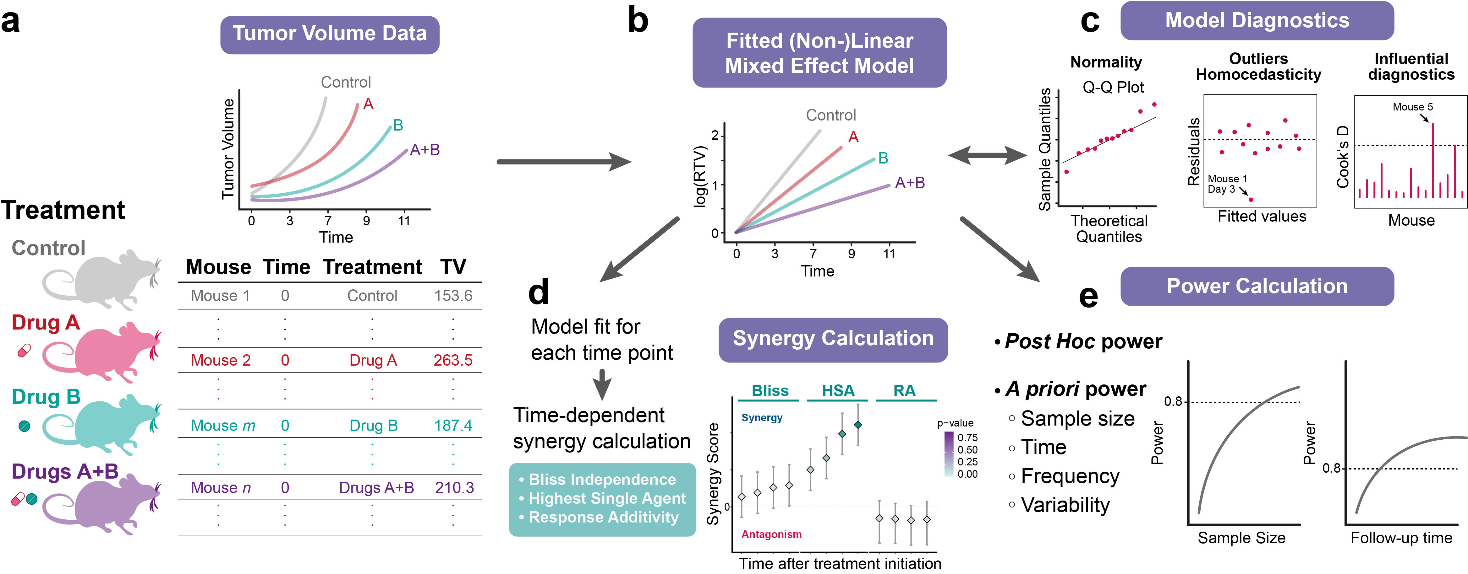 SynergyLMM workflow overview.